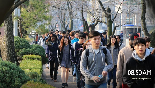 beasiswa ke korea